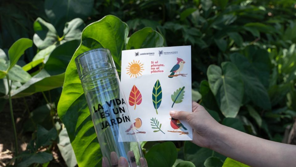 En el Jardín Botánico de Culiacán puedes encontrar el detalle ideal para este 14 de febrero