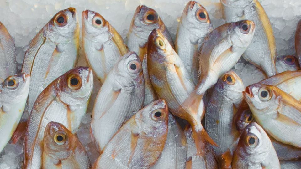 ¡Mucho ojo! esto debemos tomar en cuenta al comprar pescado y cuidar nuestro bolsillo