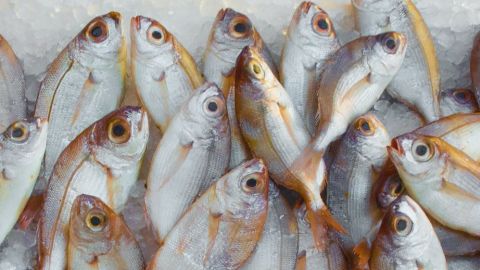 ¡Mucho ojo! esto debemos tomar en cuenta al comprar pescado y cuidar nuestro bolsillo