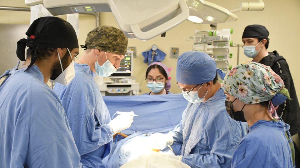 Joven estudiante brinda esperanza de vida a otras personas al donar sus órganos en IMSS Sinaloa
