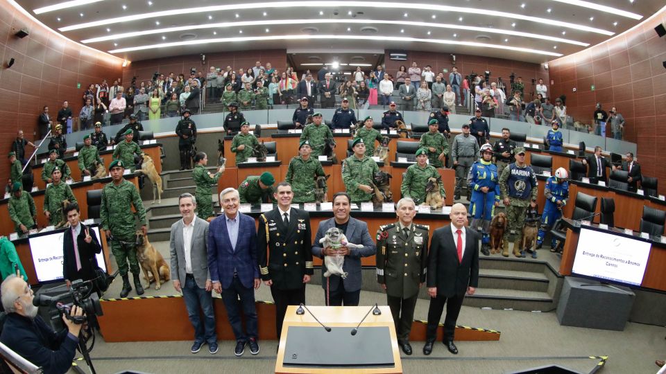 Para celebrar el Día del Perro, entrega Senado reconocimientos a binomios caninos