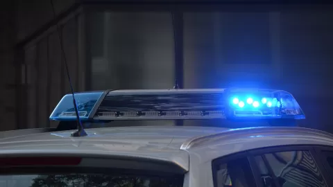 Recibe Senado de la República Estrategia Nacional de Seguridad Pública 2024-2030