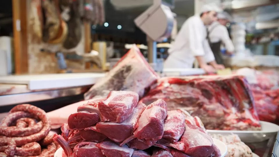 Producir un kilo de carne de res requiere más de 15 mil litros de agua:académico de la UNAM