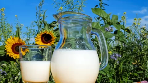 Entérate que dice la Profeco sobre la calidad de la Leche entera, descremada, deslactosada y otras variedades