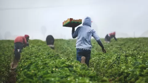 Tragedia migratoria: 10 mexicanos mueren bajo custodia de ICE en lo que va del año, alerta SRE