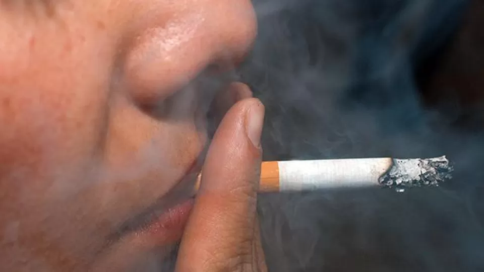 OMNI BAT: nueva plataforma fomenta diálogo basado en evidencia sobre tabaquismo y salud pública en México