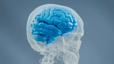 Proyecto BRAIN: la millonaria apuesta científica y el legado de Obama para desentrañar los misterios del cerebro humano