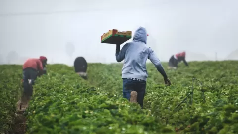 Sheinbaum: 'EE. UU. no sería lo que es sin trabajadores mexicanos'