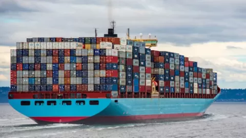 México Potencia su Comercio con Italia: Exportaciones Agroalimentarias Exploran un Aumento del 45.7% Antes de Crucial Acuerdo con la UE