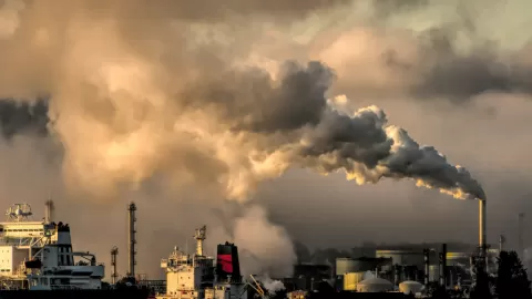 ONU Emite Alerta a México por Megaproyectos de Gas en Sonora y Sinaloa; Urge Cancelación ante Riesgo Ecológico y de Derechos Humanos en el "Acuario del Mundo"