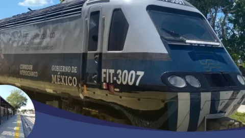 De Niños a Jubilados: Los Rostros Detrás de la Tragedia del Tren Interoceánico en Oaxaca que Cobró 13 Vidas