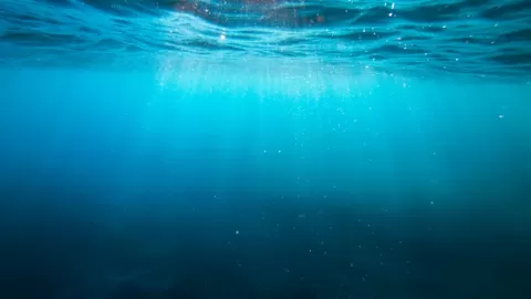 Plancton Microscópico: Los Héroes Olvidados que Regulan el Clima Global y Secuestran Carbono en el Océano Profundo