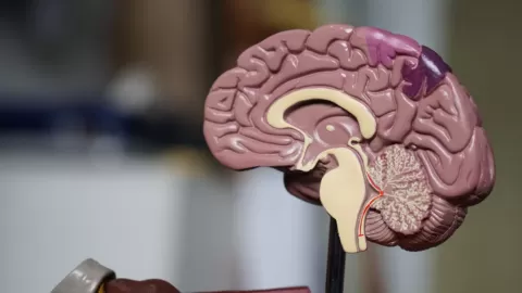 IMSS impulsa el conocimiento sobre enfermedades neurodegenerativas durante la Semana del Cerebro