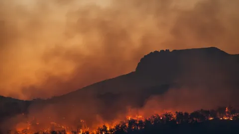 Incendios Descontrolados Azotan Europa: Evacuaciones Masivas en Francia y España, con Apoyo Militar y Alerta en Escocia