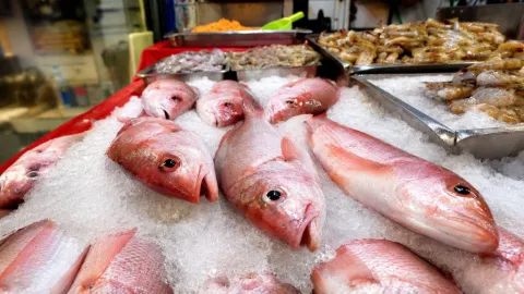 Sinaloa Lanza Alerta Sanitaria: Refuerza Higiene Alimentaria para Evitar Enfermedades Gastrointestinales en Verano
