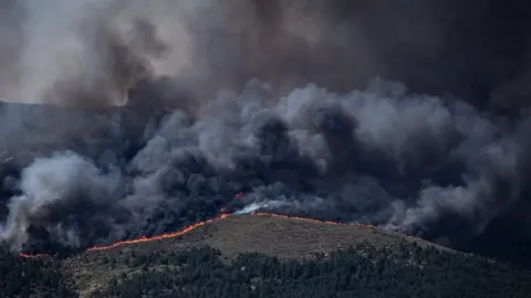 El Peor Incendio de España Calcinó Más de 55.000 Hectáreas y Deja un Rastro de Desolación