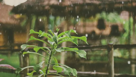 Temporal de Lluvias Intensas y Mar de Fondo Continuarán la Semana del 10 al 14 de Agosto en Sinaloa